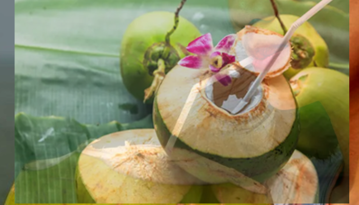 Golongan Orang Tidak Boleh Minum Air Kelapa