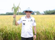 Panen di Kasimbar Palapi Jadi Bukti Kuatnya Kolaborasi Pemerintah dan Warga