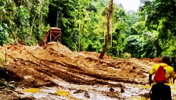 Pasca Penertiban, Tambang Liar Taopa Semakin Menggila