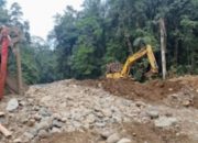 Mafia PETI Hutan Bugu Melenggang, Masyarakat Tanya Tertib Gakum Antar Provinsi    
