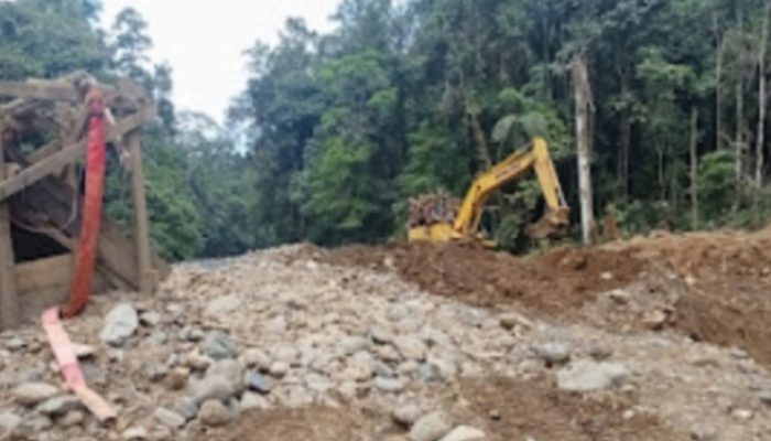 Mafia PETI Hutan Bugu Melenggang, Masyarakat Tanya Tertib Gakum Antar Provinsi    