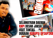 KNPI Desak Jaksa Usut Tuntas Dugaan Korupsi DP3AP2KB Parimo
