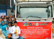 Dari Torue ke Tiongkok: Durian Beku Parimo Siap Bersaing