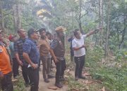 Bupati Parigi Moutong Tinjau Langsung Lokasi Karhutla di Desa Avolua, Upaya Pemadaman Terus Diperkuat