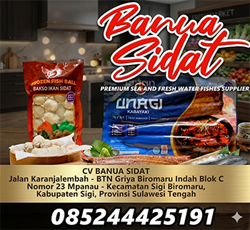 banner 325x300