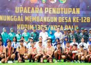 TMMD Rampung, Bupati Parimo Tinjau Jalan