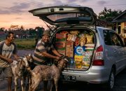 Maling Gaya Elit, Muat Kambing Pakai Innova