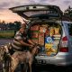 Maling Gaya Elit, Muat Kambing Pakai Innova